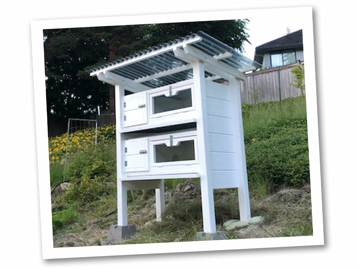 Backyard Quail Coop Plans: The Quail Hutch Plan (eBook on USB Flash Drive)