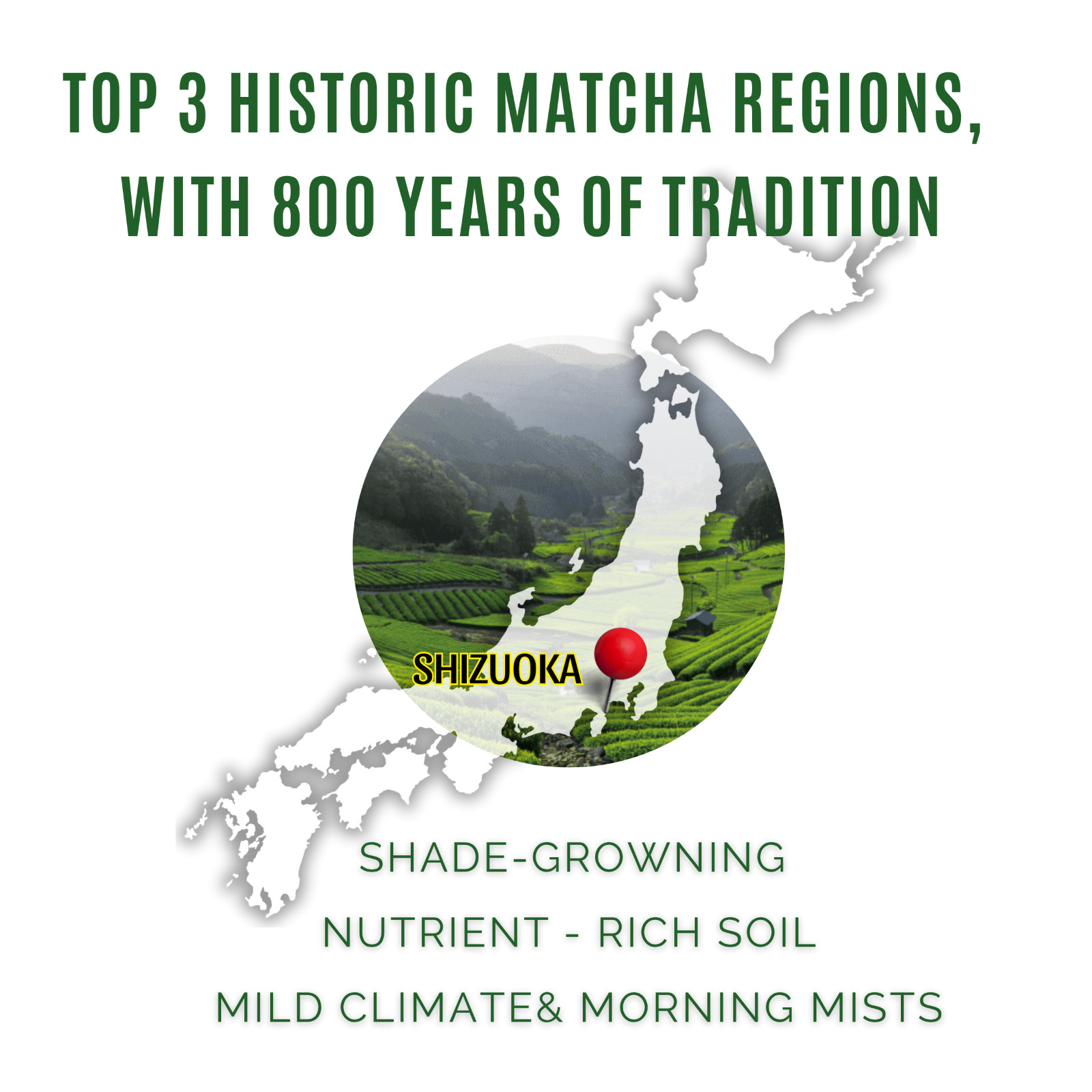 Ceremonial Matcha 50g SAMPLE- JAPAN - 100% First Flush Spring Harvested