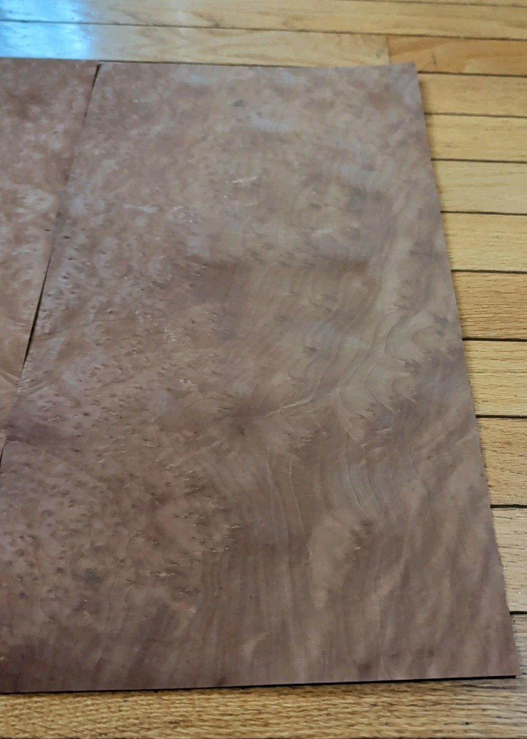 Madrone burl veneer 10 1/2" x 19 1/4" each, 2 pieces wood 1/42" raw