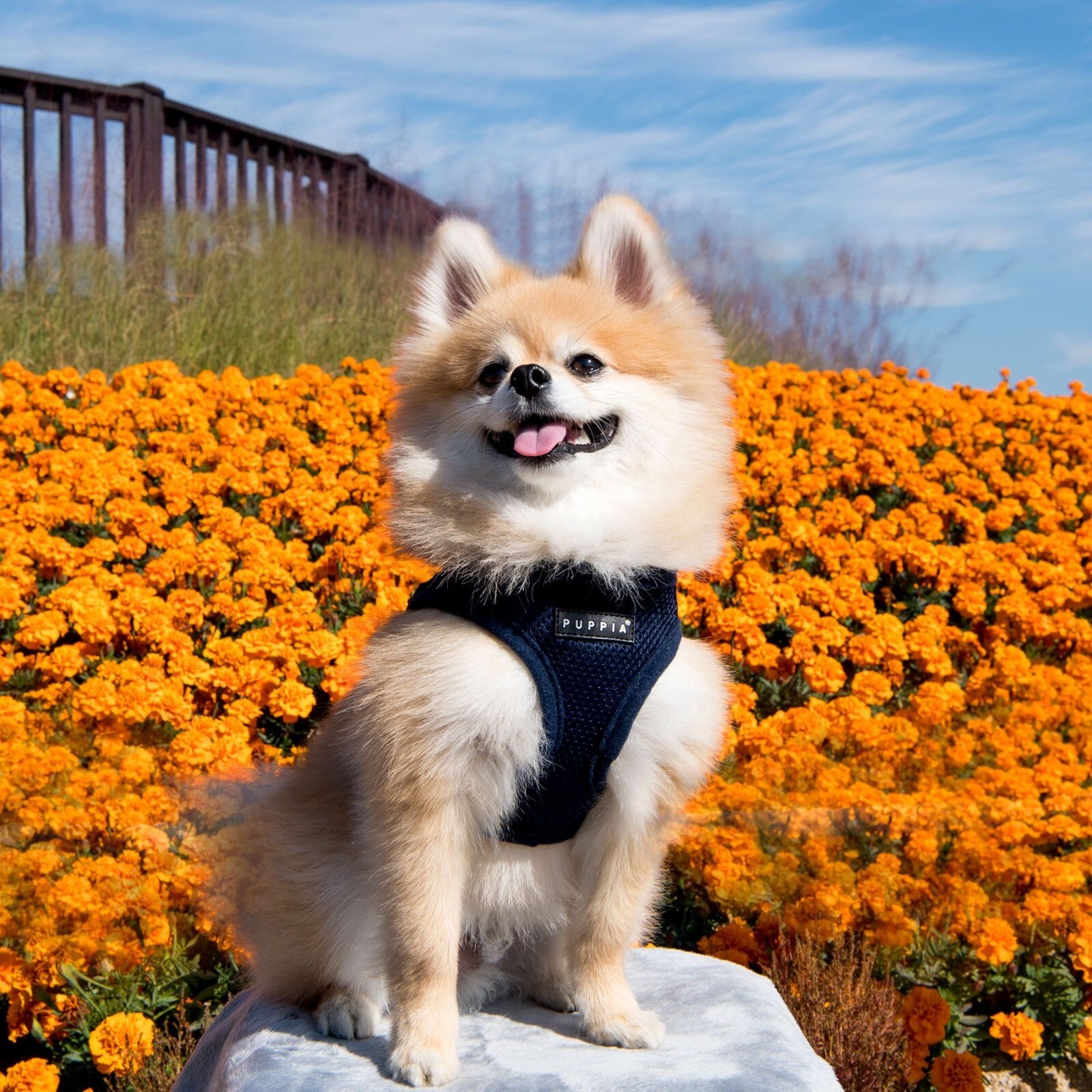 Puppia Mesh Dog Harness Vest No Pull Adjustable Breathable S M L XL XXL 3L AH305