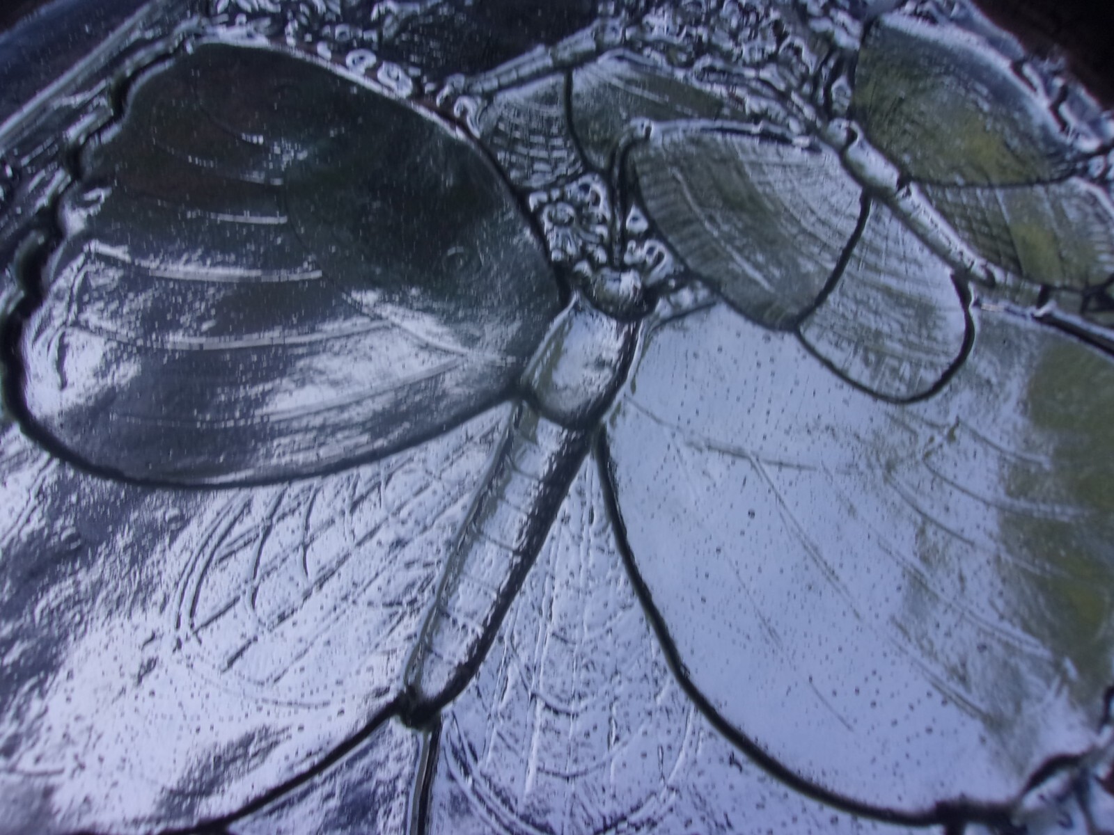 Butterfly steppingstone mold concrete plaster cement garden mould 12" x 1" thick