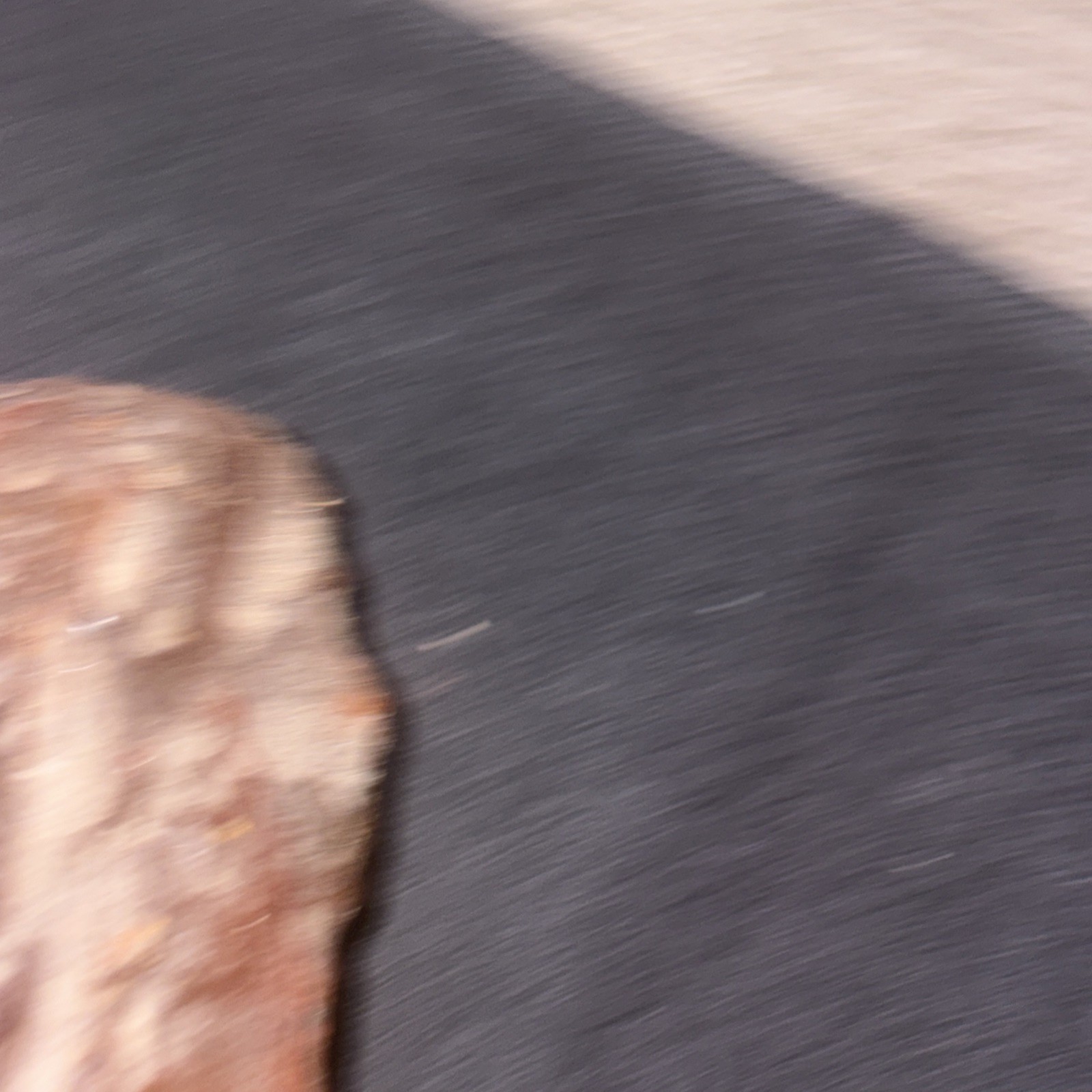 Huge Piece Of Baltic Amber. 5+ Inches Long 3+ Inches Wide Has Not Been Peered In