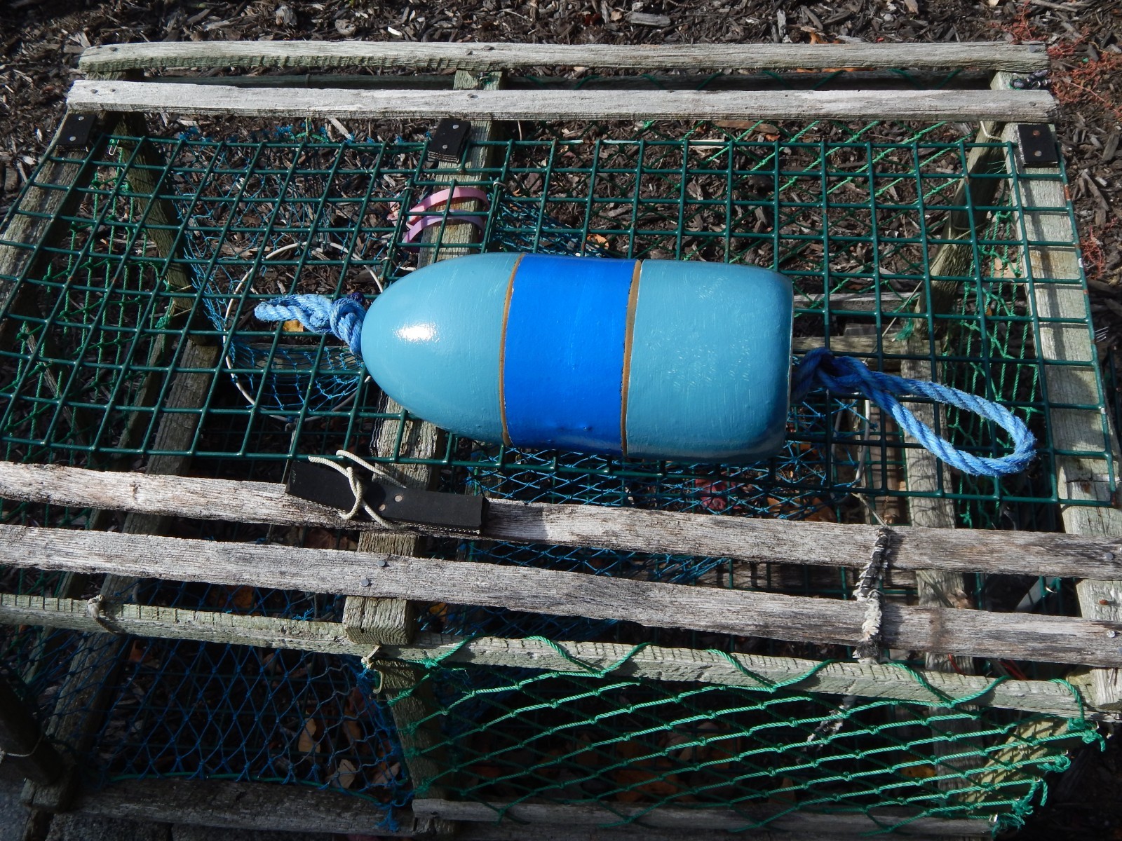 FREE SHIP 196 Maine Lobster BUOY nautical pot bouy float shore crab Lake CAPE