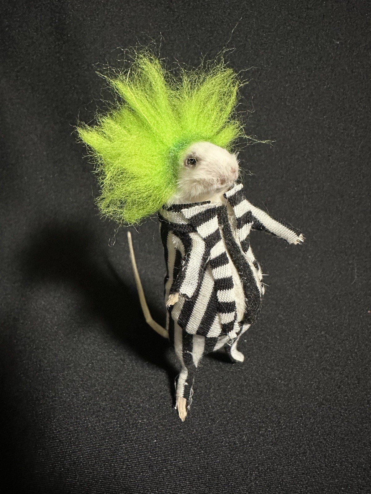 Taxidermy Mouse Beetlejuice Mouse Oddities Curiosities Taxidermy Art