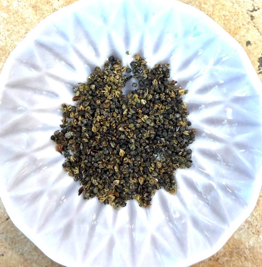 Pre-stratified Good King Henry Seeds (Blitum bonus-henricus) Qty: 20