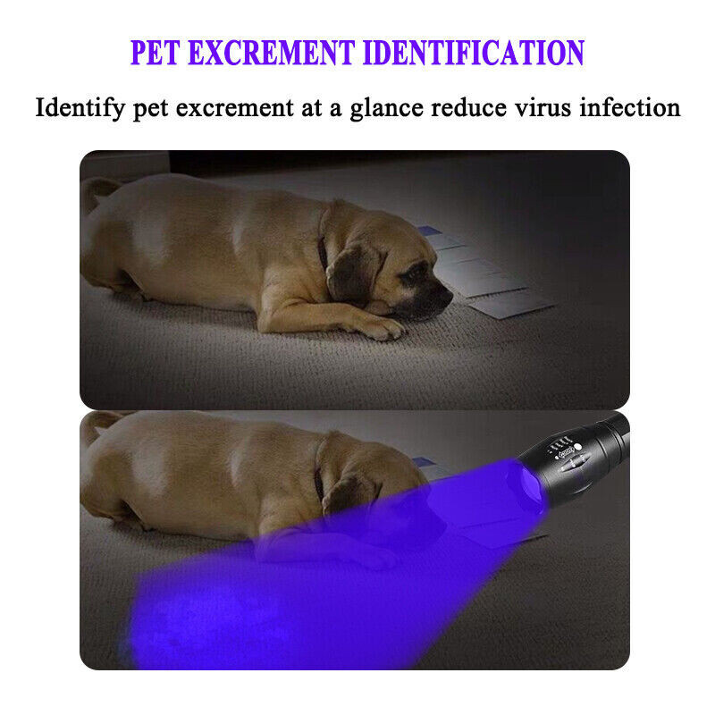 UV Flashlight Black Light Super Bright 120000lm Torch Ultra Violet Lamp LED