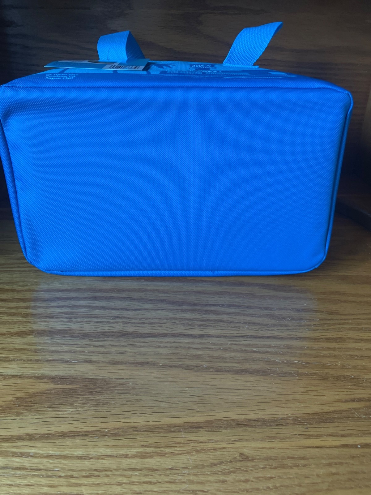 Trader Joe’s Mini Insulated BAG /TOTE BLUE LIMITED IN HAND. MORE AVAILABLE