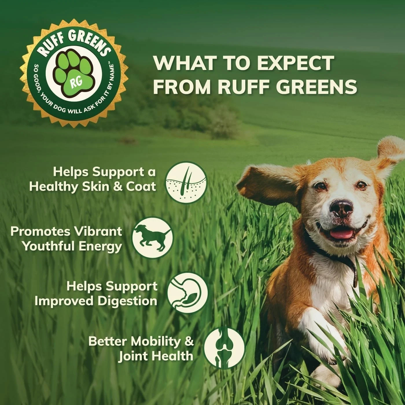 Ruff Greens VitaSmart - Dog Food Topper & Joint Supplement - 6.9 oz