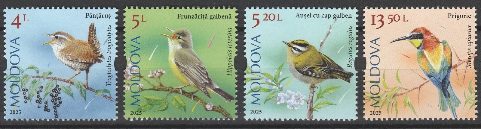 Moldova 2025 Birds, Songbirds 4 MNH stamps