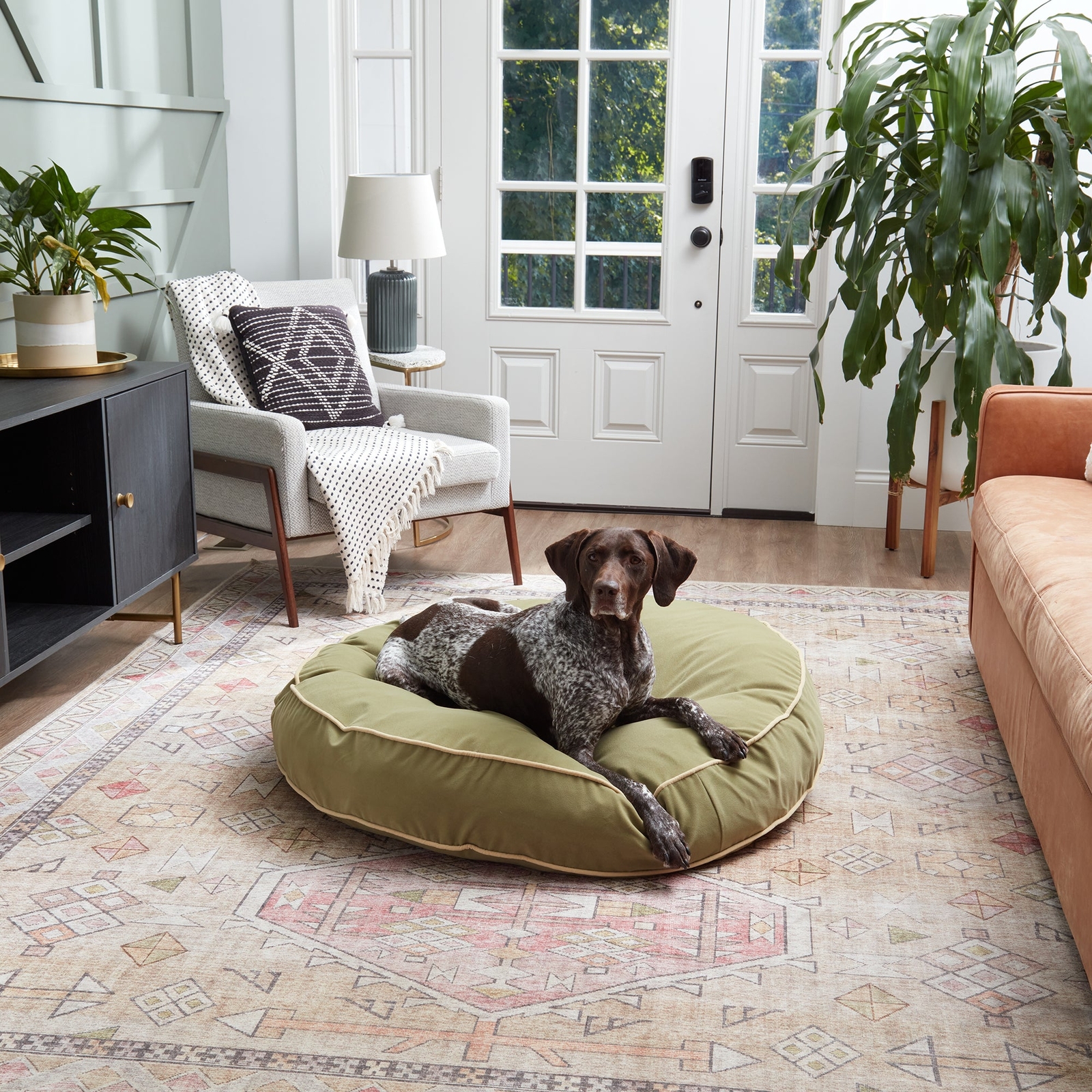 Scout Deluxe Round Microfiber Pillow Dog Bed