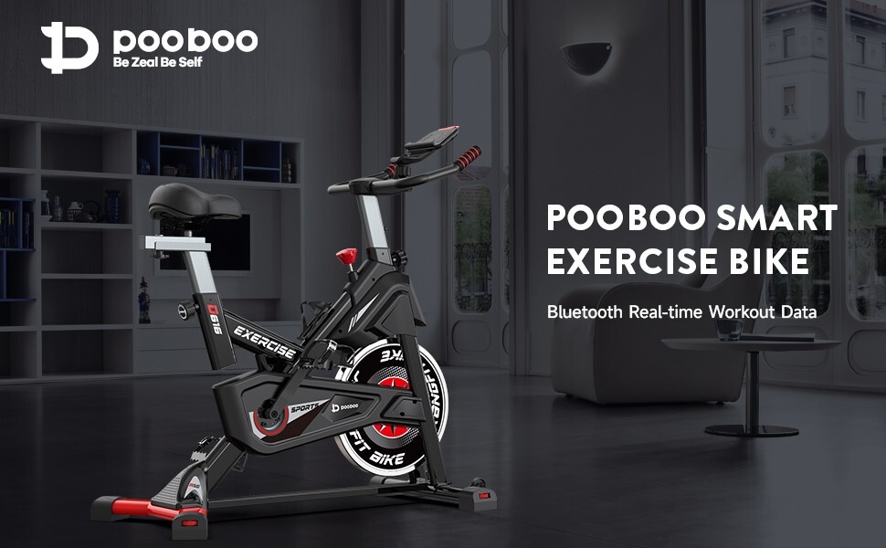 Indoor Cycling Bike for Home Gym Stationary Exercise Bike Magnetic Cycle Bike