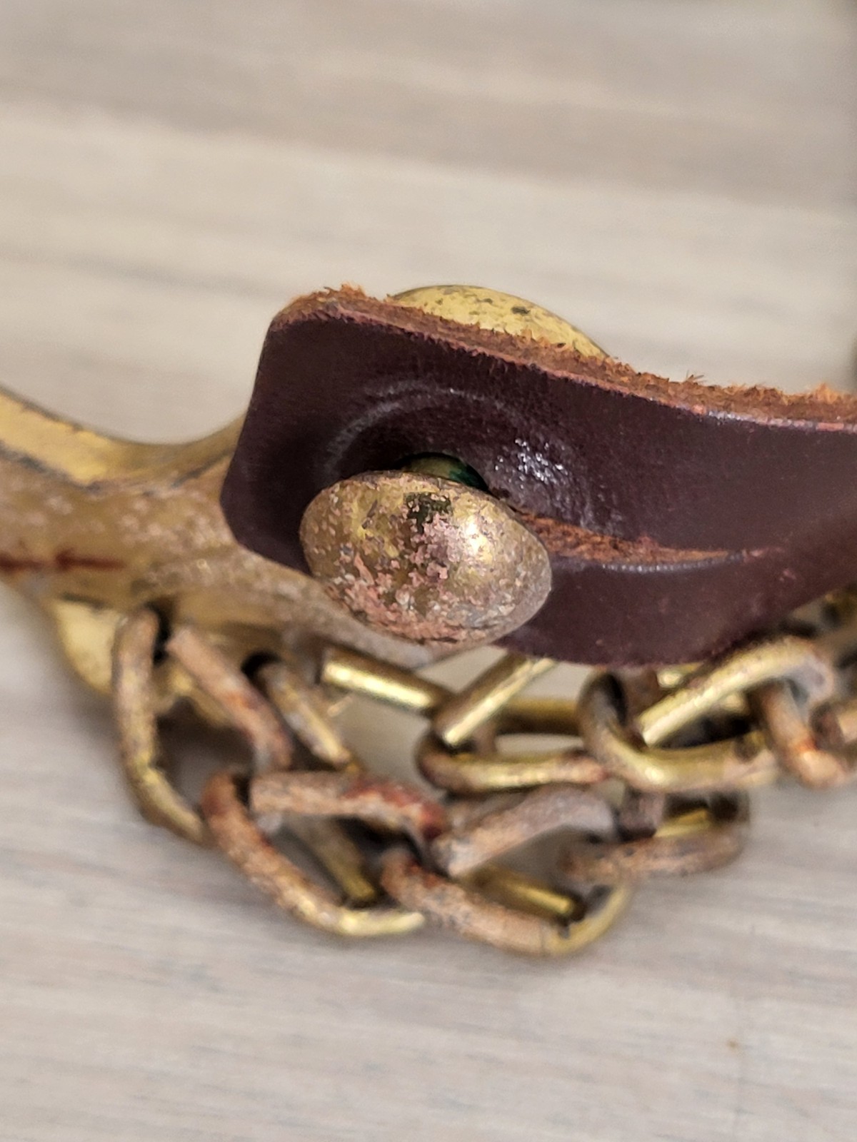 HERCULES BRONZE SPURS Horse Head Star