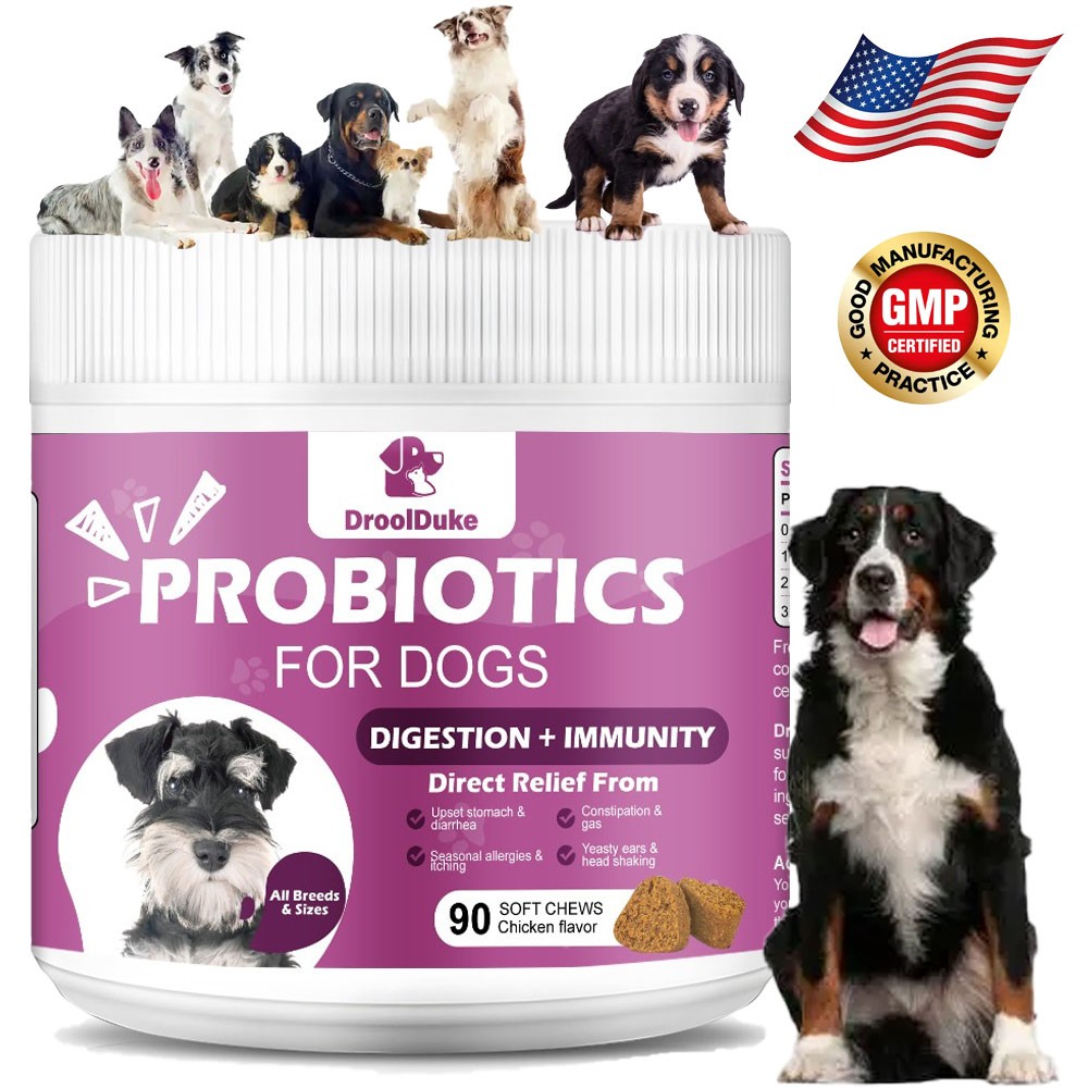 Probiotics for Dogs Soft Chews for Seasonal Allergies, Gut, and Digestive Health