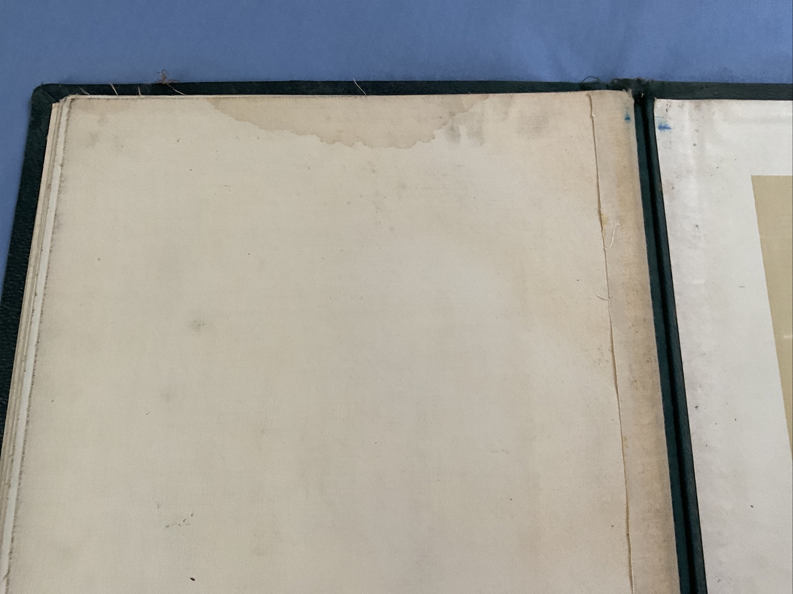 Antique Medical Anatomy Book Embalmer Anatomy Book Binder 1903