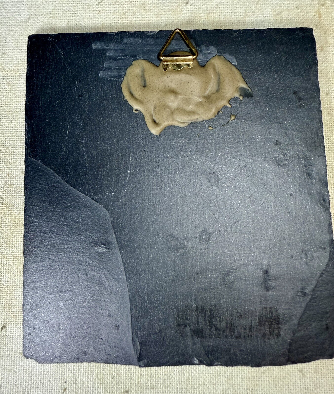 PYRITIZED Brittle Star Eospondylus Fossil ~ Bundenbach Germany ~ Devonian Period