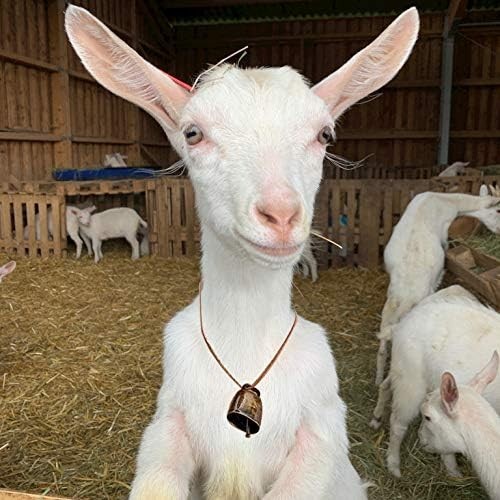 5 Pack Grazing Copper Bells, Metal Cow Bells for Dogs, Animal Copper Loud Bronze