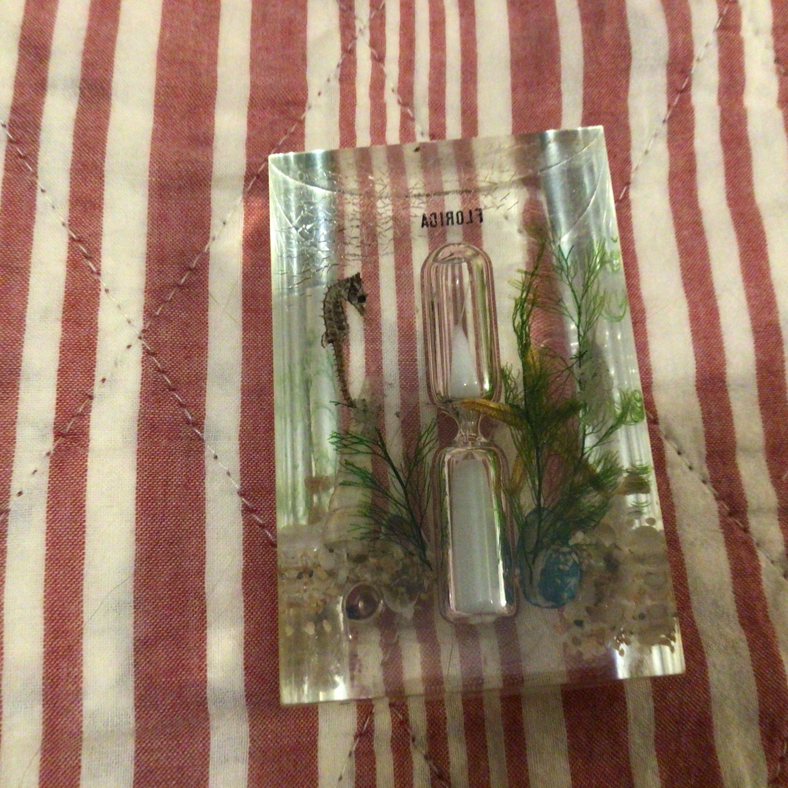 Vintage Florida Decorative Clear Acrylic/Lucite Handled Souvenirs