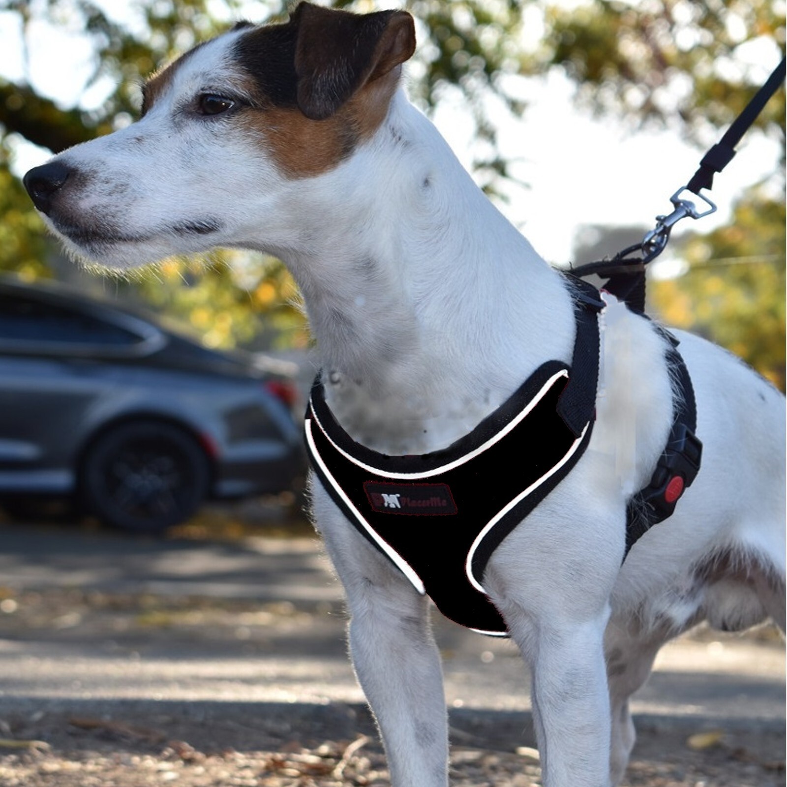 Dog Breathable Reflective Mesh Collar Harness-Travel Walk Seat Belt No Pulling