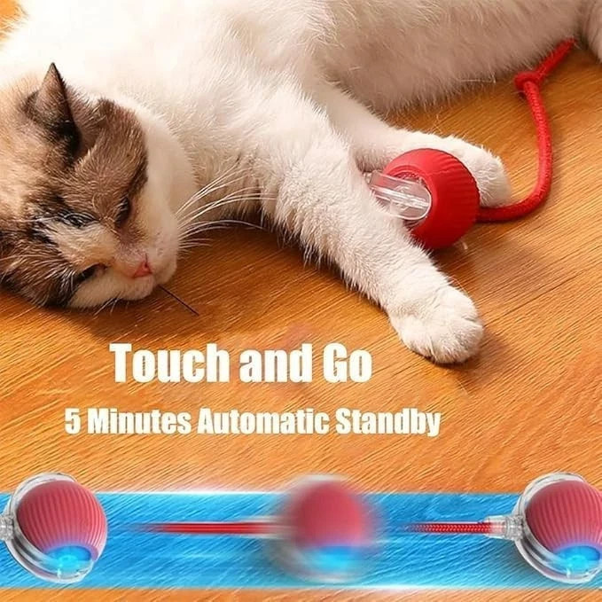 Automatic Rolling Ball for Cats – Rechargeable Smart Interactive Toy,Durable