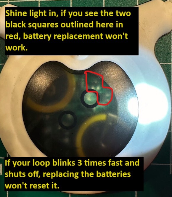 Assisi Loop Version 2.0 Battery Replacement Service
