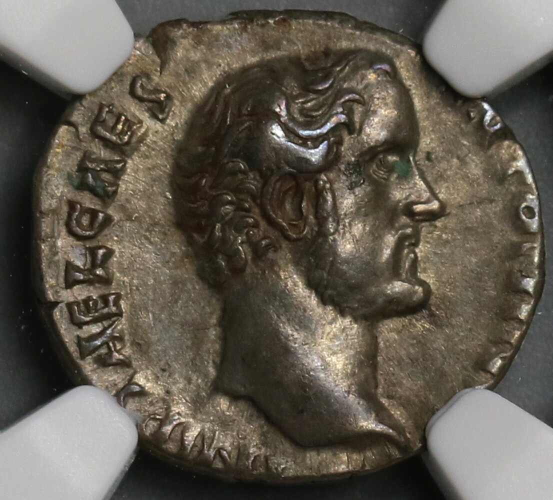 138 NGC XF Caesar Antoninus Pius Roman Empire Denarius Rare Concordia (19063005C