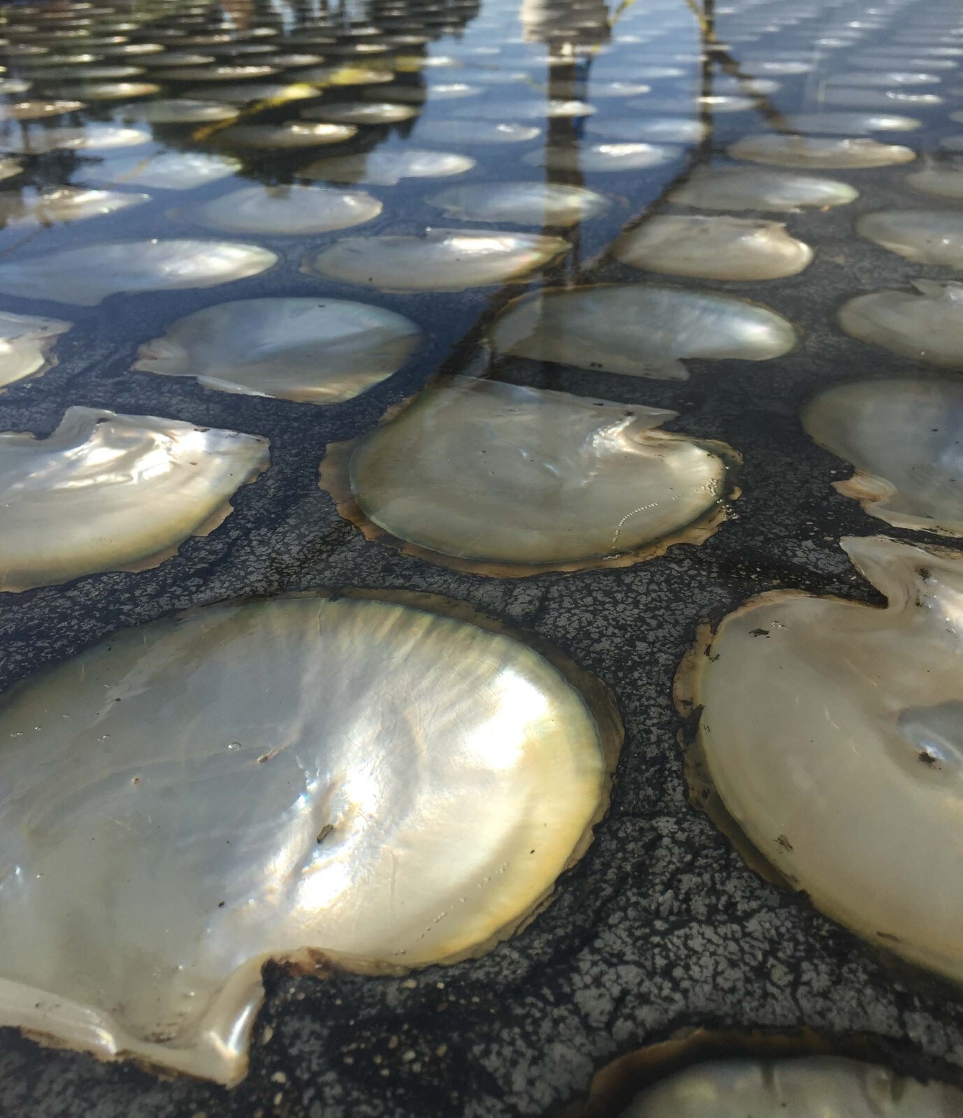 EPOXY RESIN 6 GALLON KIT * CLEAR * UV RESISTANT * LAMINATING * FIBERGLASS * BOAT