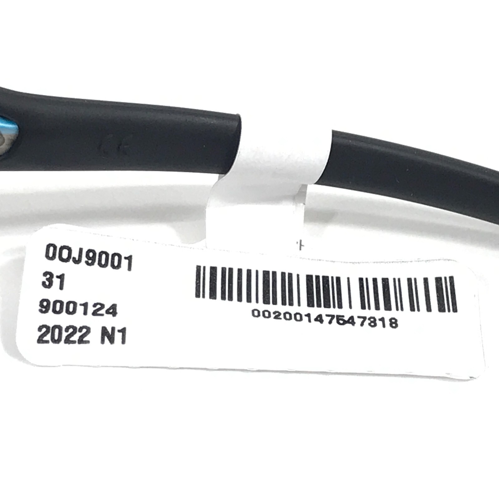 Oakley Kids Sunglasses Radar EV XS Path OJ9001-2431 Sanctuary Swirl w Prizm Grey