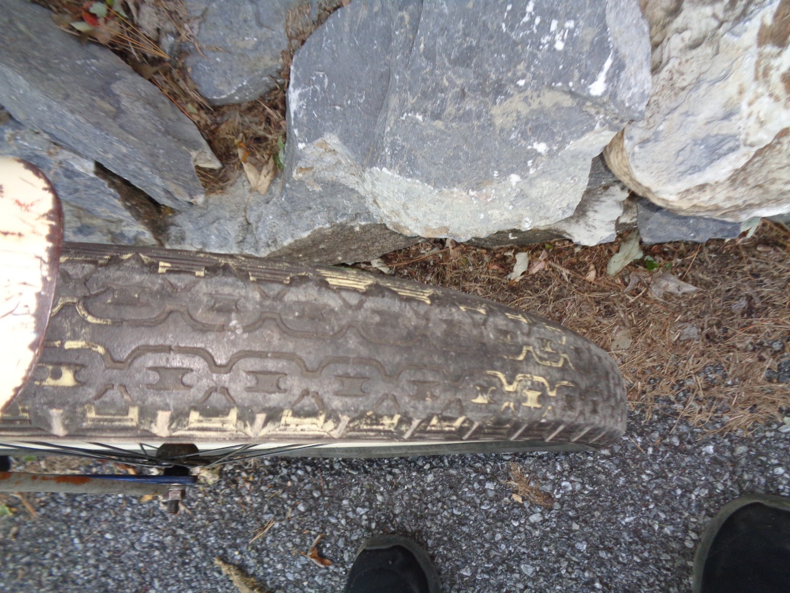 Vintage SCHWINN 24" Balloon Tire Girls Bike - Serial #G32268