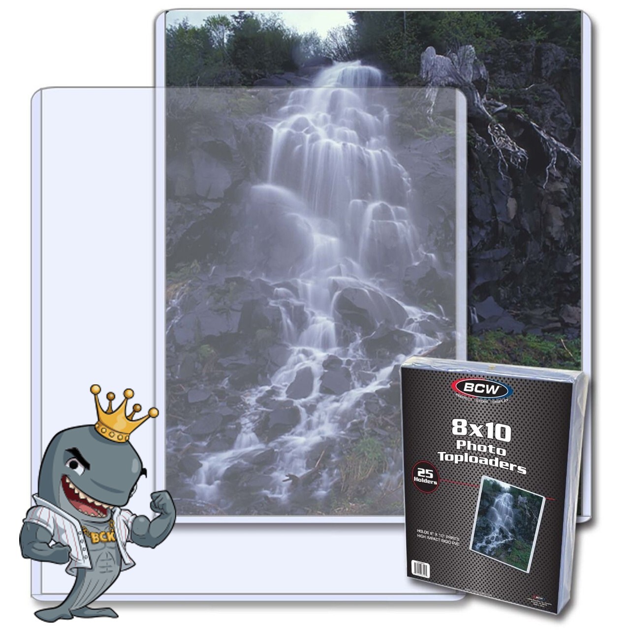 BCW 8x10 Topload Holder 25ct Pack Picture Photo Clear Hard Plastic FREE SHIP