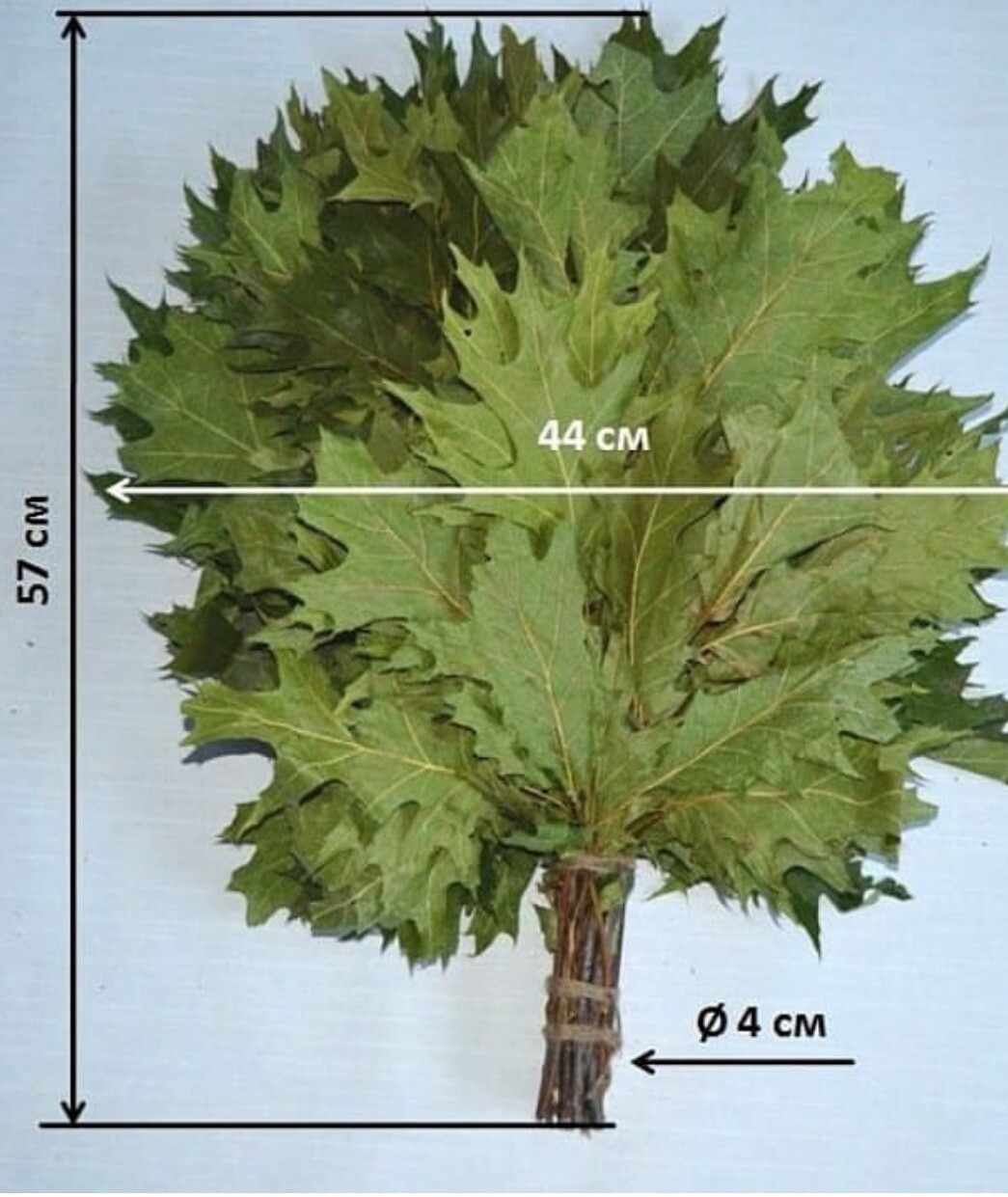 20 Oak brooms 2025, whisks, Eichenreisig Eichenquast Saunareisig sauna banya