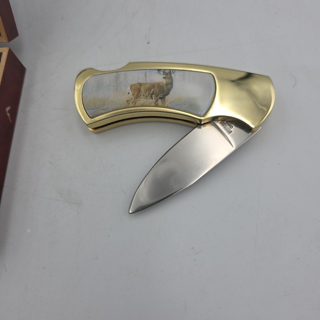 Gold Hunting Knife in Case with Buck Picture on Knife and Inside Box 7"
