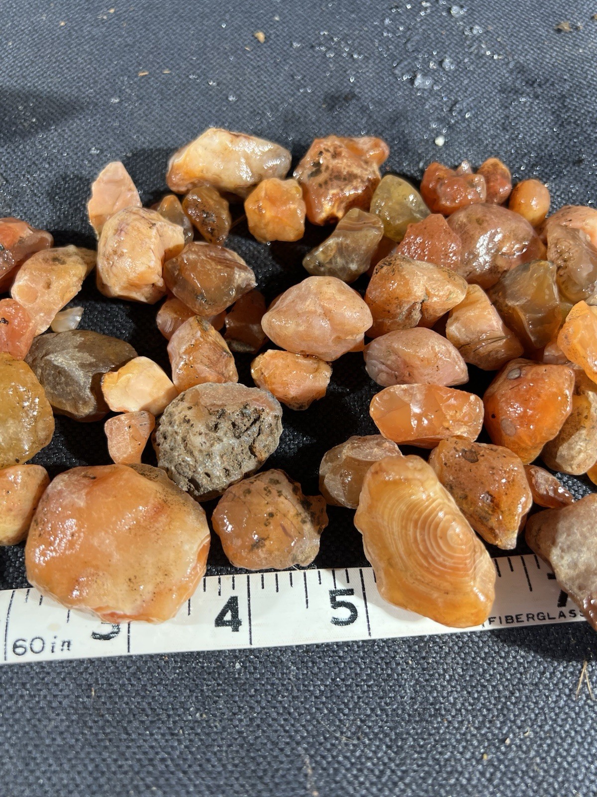 Carnelian Agate Nugget Rough 1 lb 4.5 oz 40 in lot Oregon, great color
