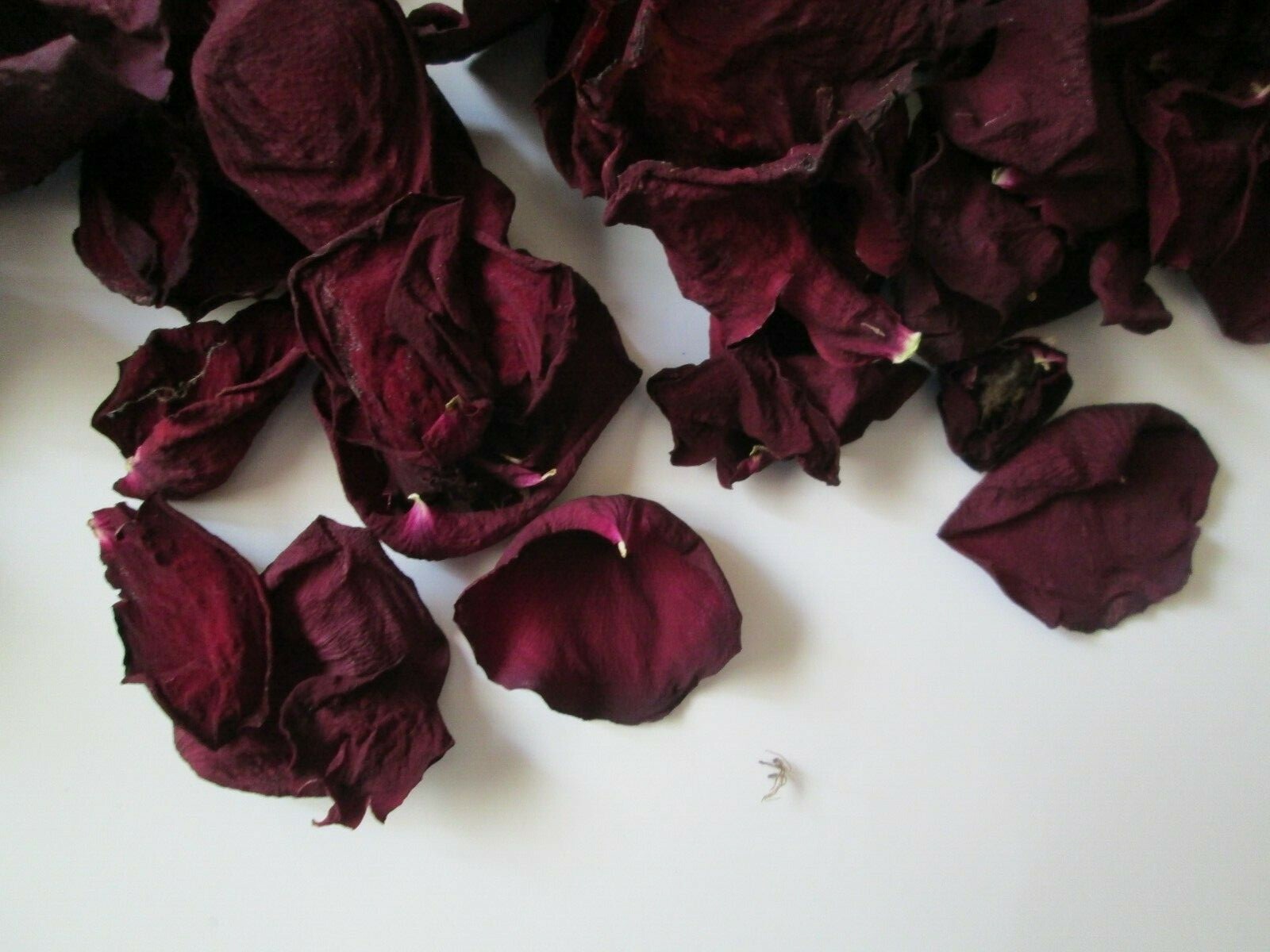 Natural Sun Dried RED Rose Petals - 6 Overflowing Cups BEAUTIFUL!