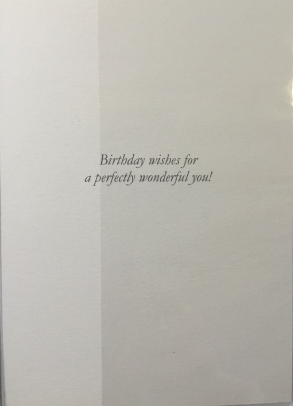 Notes & Queries- Birthday- Butterflies- Embossed Foil- United Kingdom