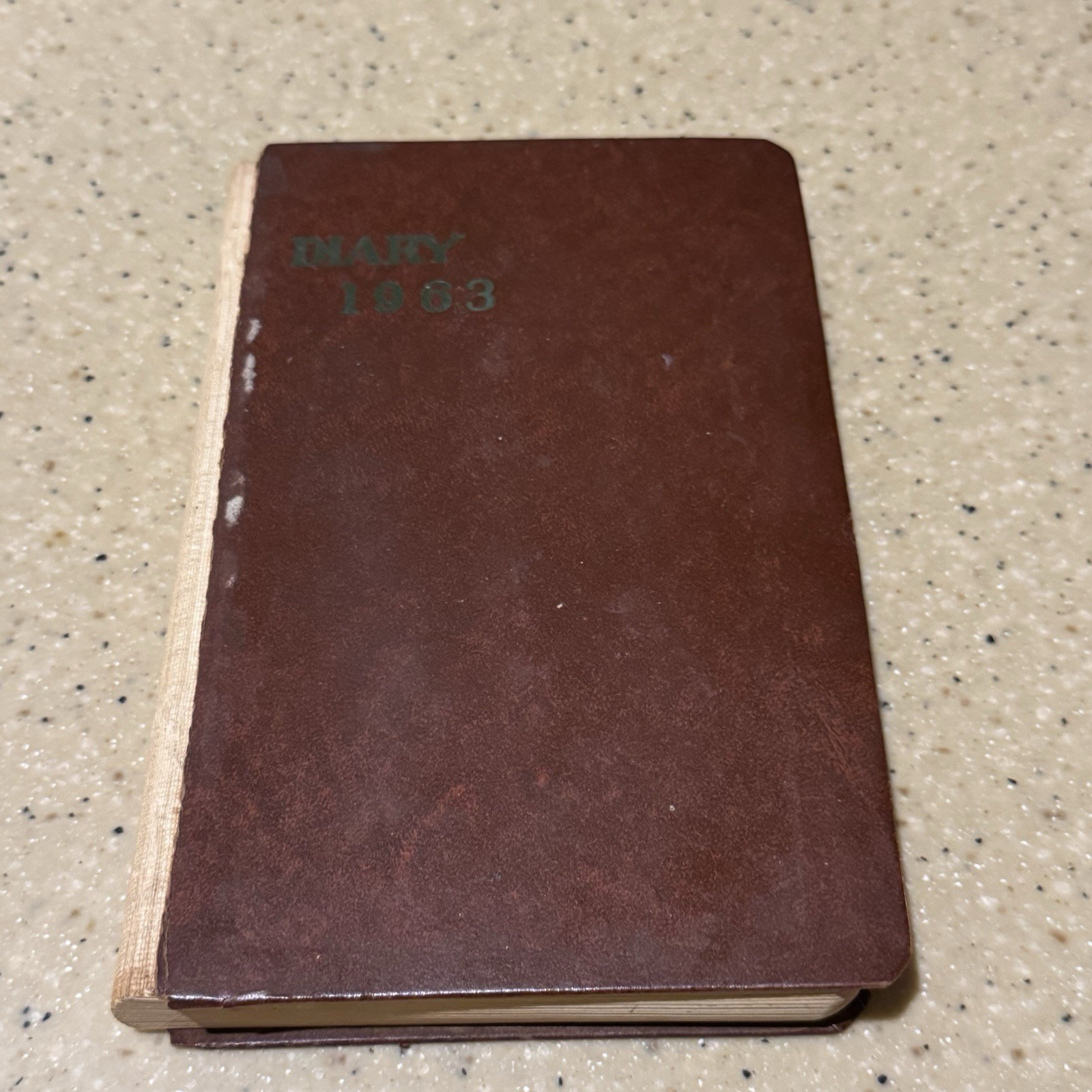 VTG Diary Handwritten JFK President John Kennedy Death Jack Ruby Womans Journal
