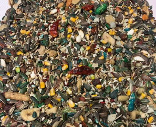 47 LBS 1500 PARROT FOOD COCKATOO MACAW AFRICAN GREY AMAZONS