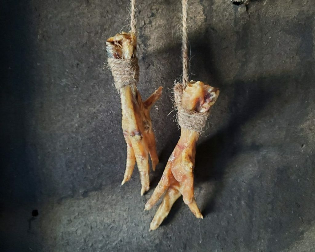 Chicken Feet, Luck Charm, Voodoo Protection, Gallus Domesticus, Oddities