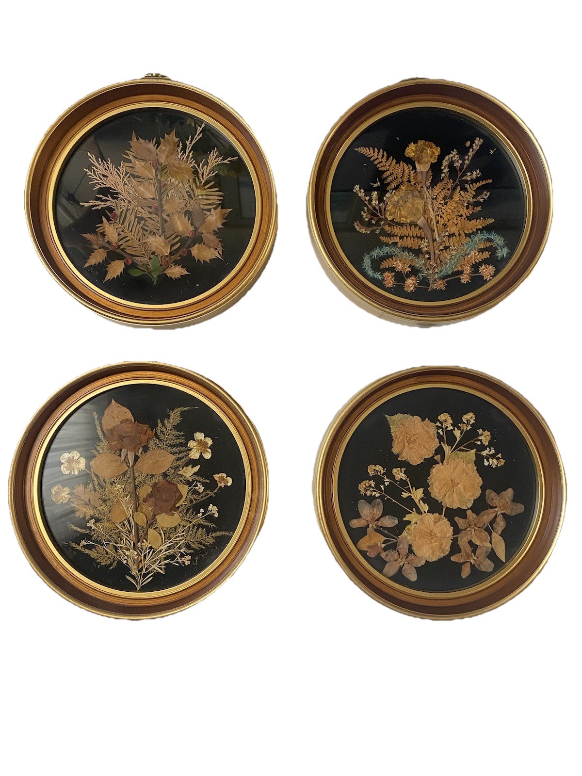 Set of 4 Framed Pressed Flower Art/Wall Decor