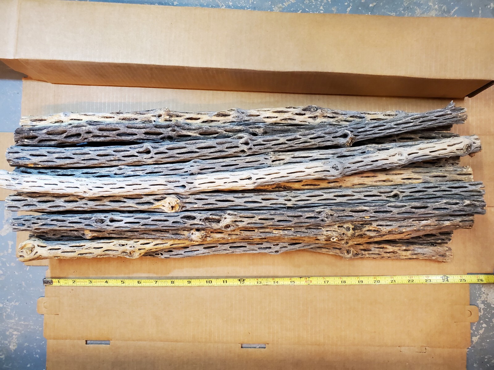 NEW! 3 CHOLLA Wood Pieces 24" inch EXTRA LONG Straight | Organic Aquarium Craft