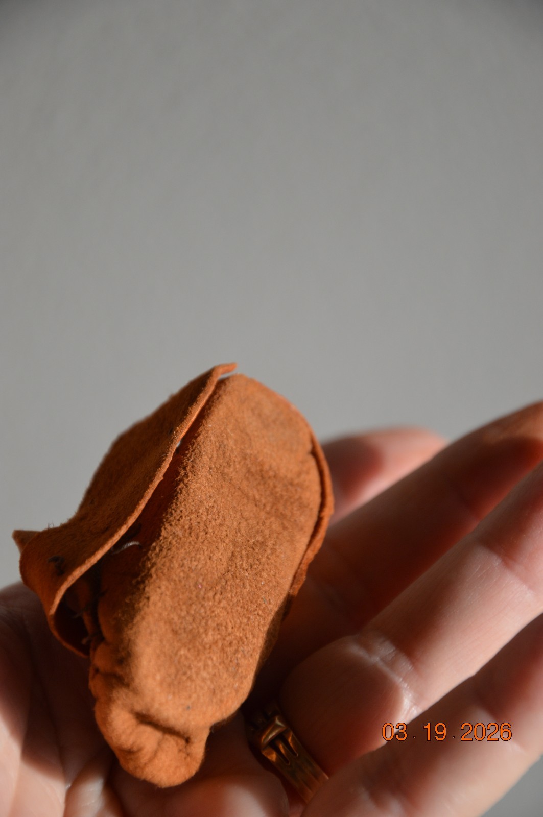 10" c.1915 Antique Original Doll Mary Francis Woods Crepe Face Blk Pin Eyes