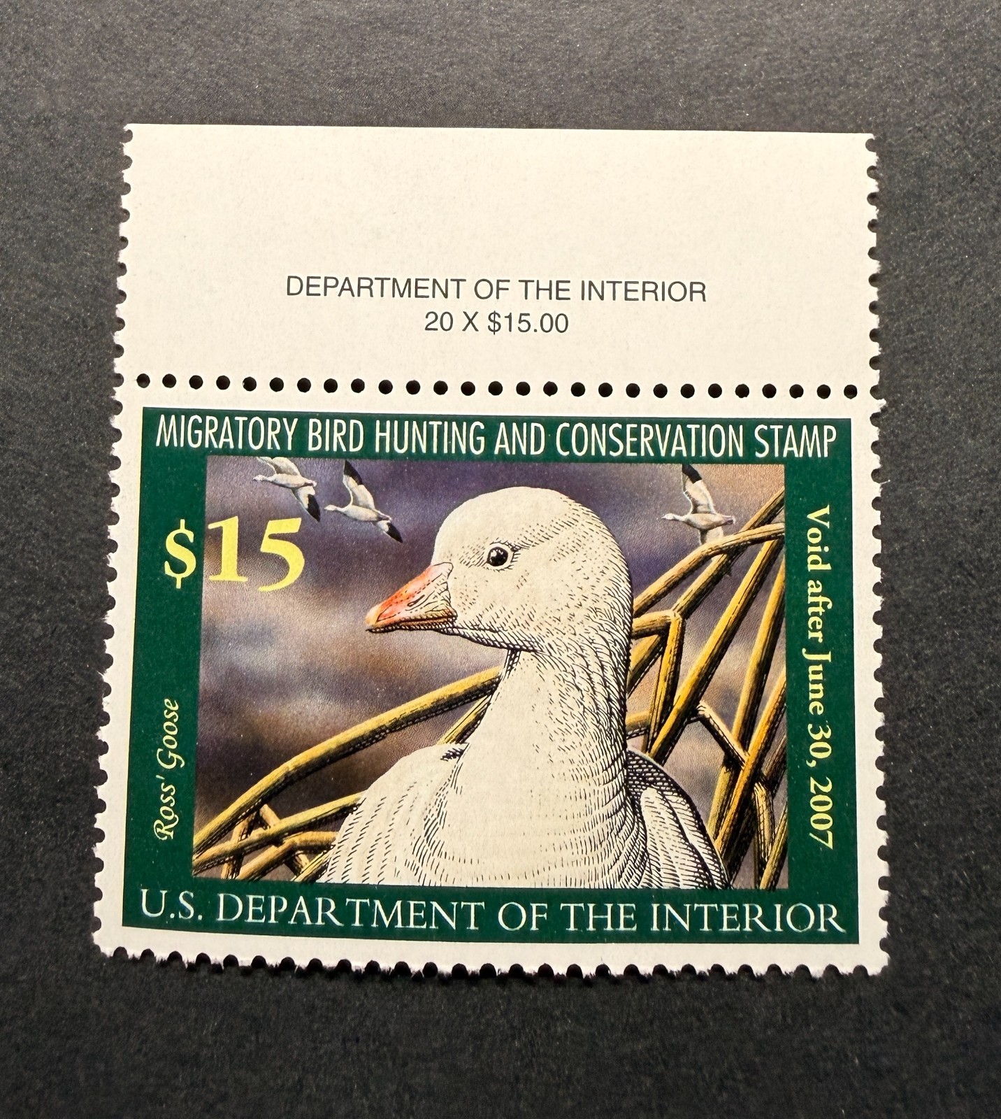 WTDstamps - #RW73 2006 - US Federal Duck Stamp - Mint OG NH