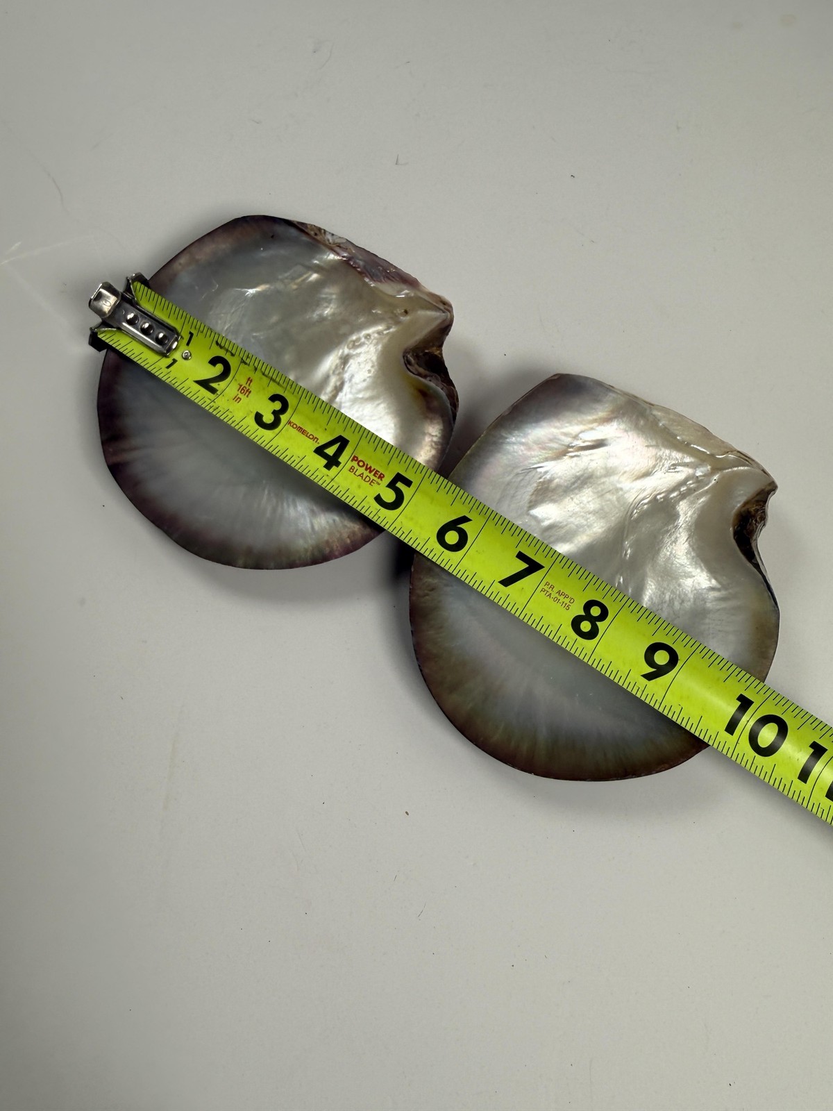 Black Lip Oyster Shells Iridescent Mother Of Pearl Lot of 2