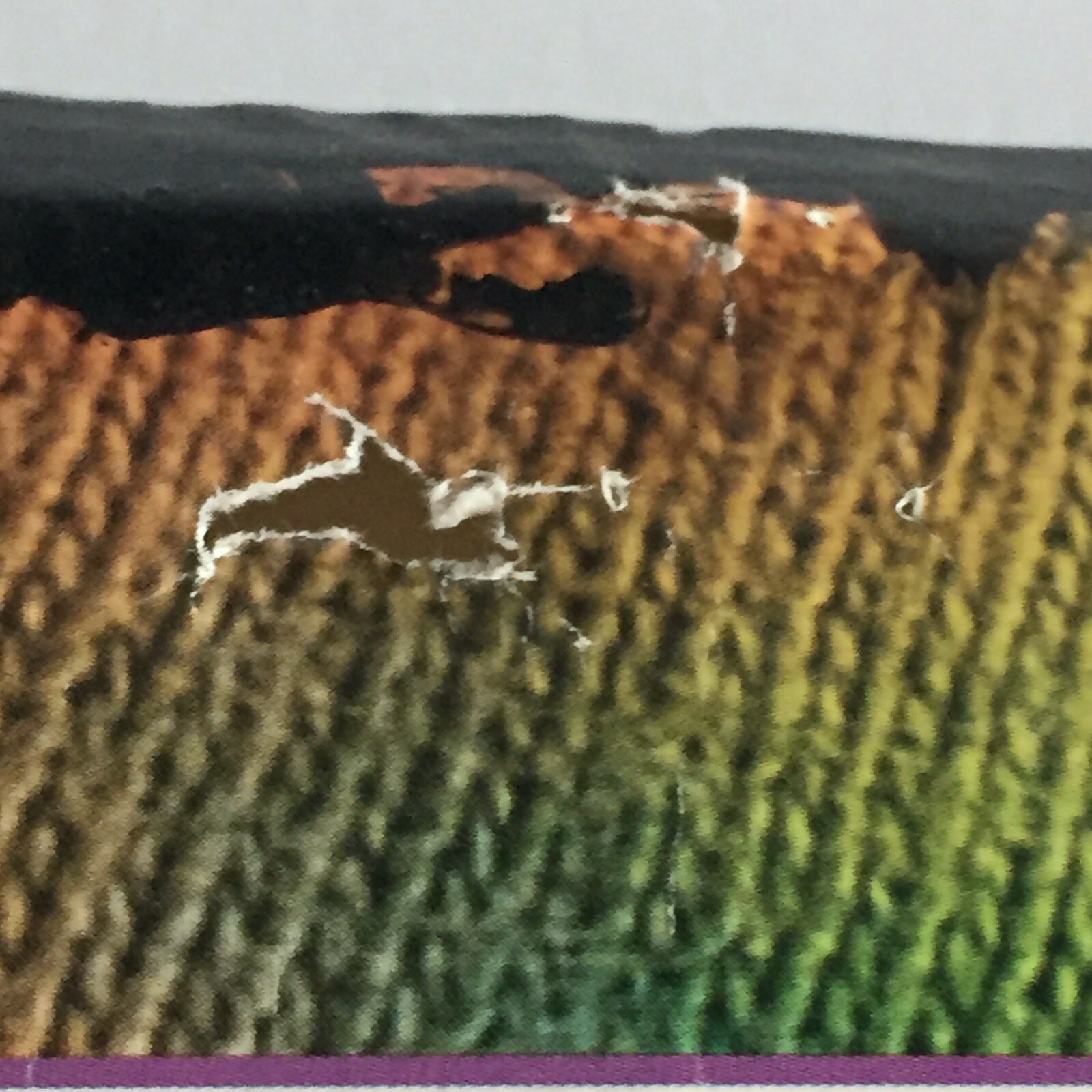 Janis Joplin 1985 Poster Legends Sony 356 C Cabriolet Music Jim Marshall RARE