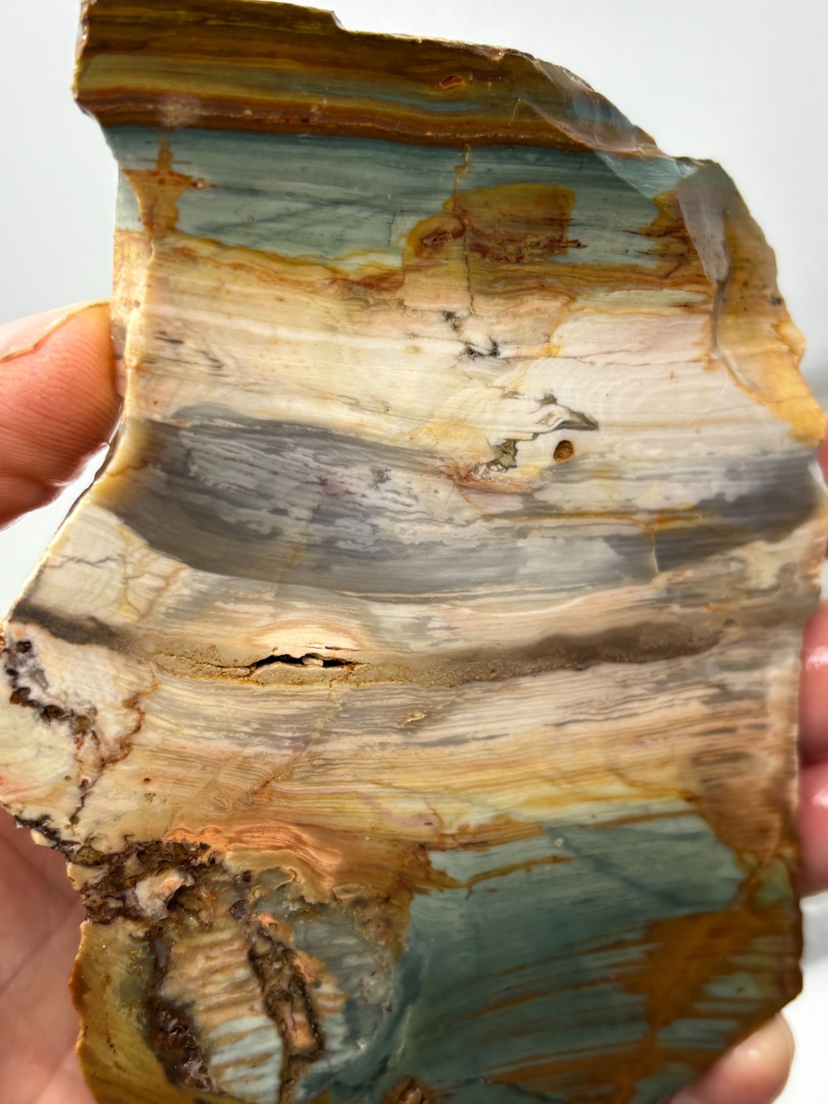 Gary Green Caldera Freedom Jasper Slab Cabbing Lapidary Combo Ship Avail