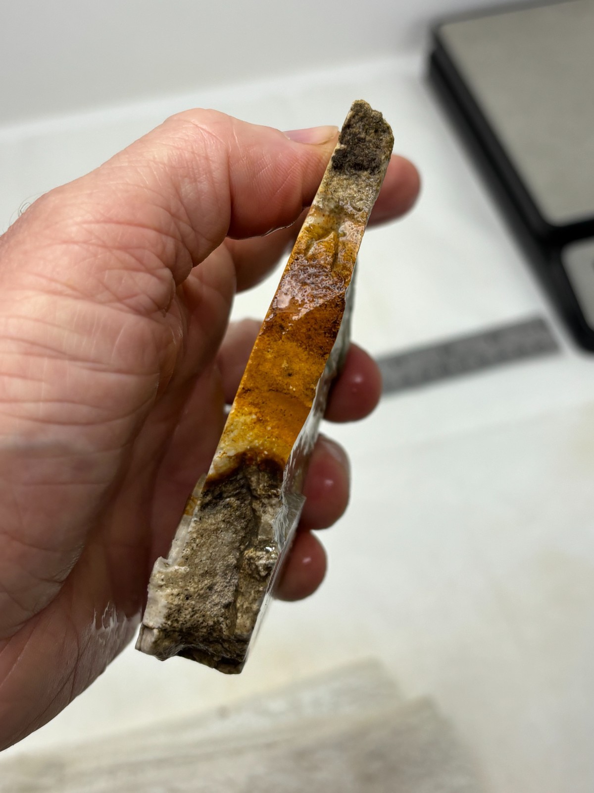 Disaster Peak Picture Jasper end slab Cabbing Lapidary Collecting Combo Ship Avl