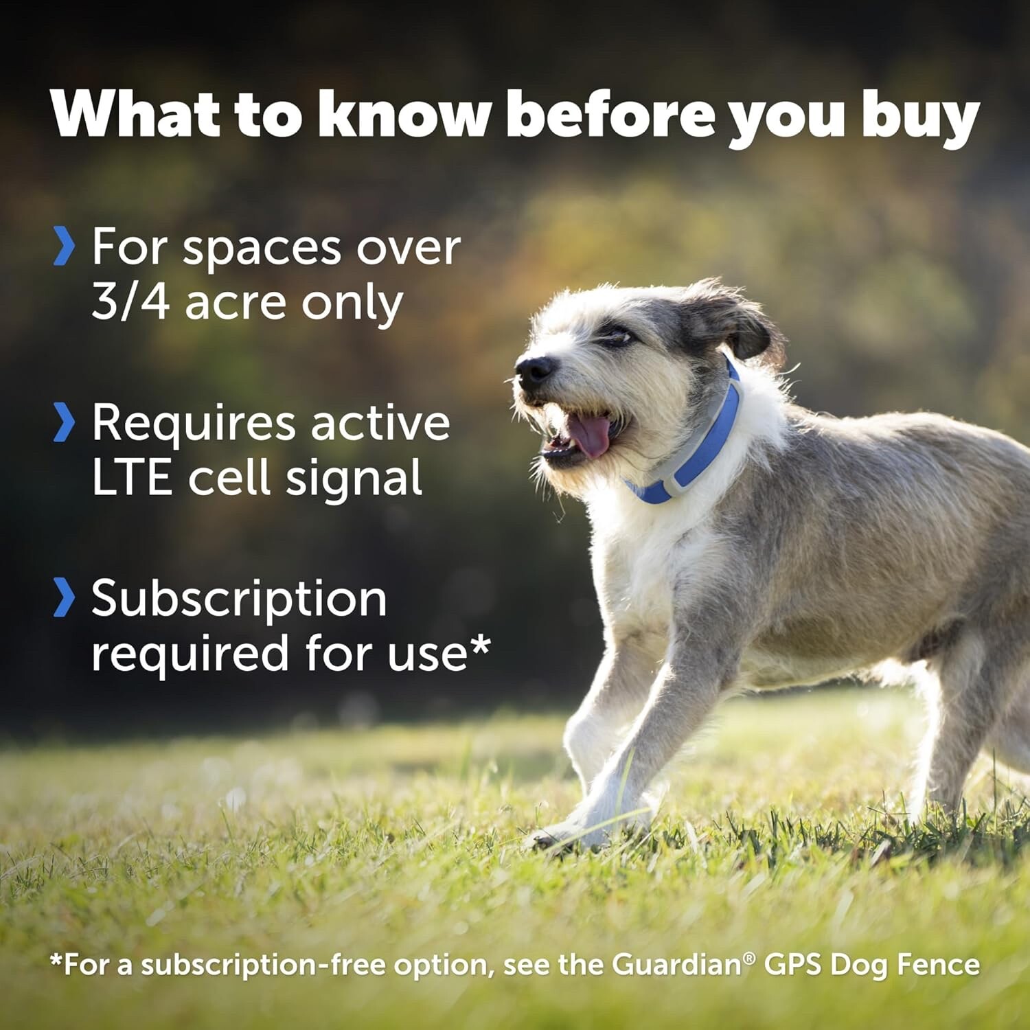PetSafe PIF00-17804 Guardian GPS with Tracking Dog Fence Collar NEW