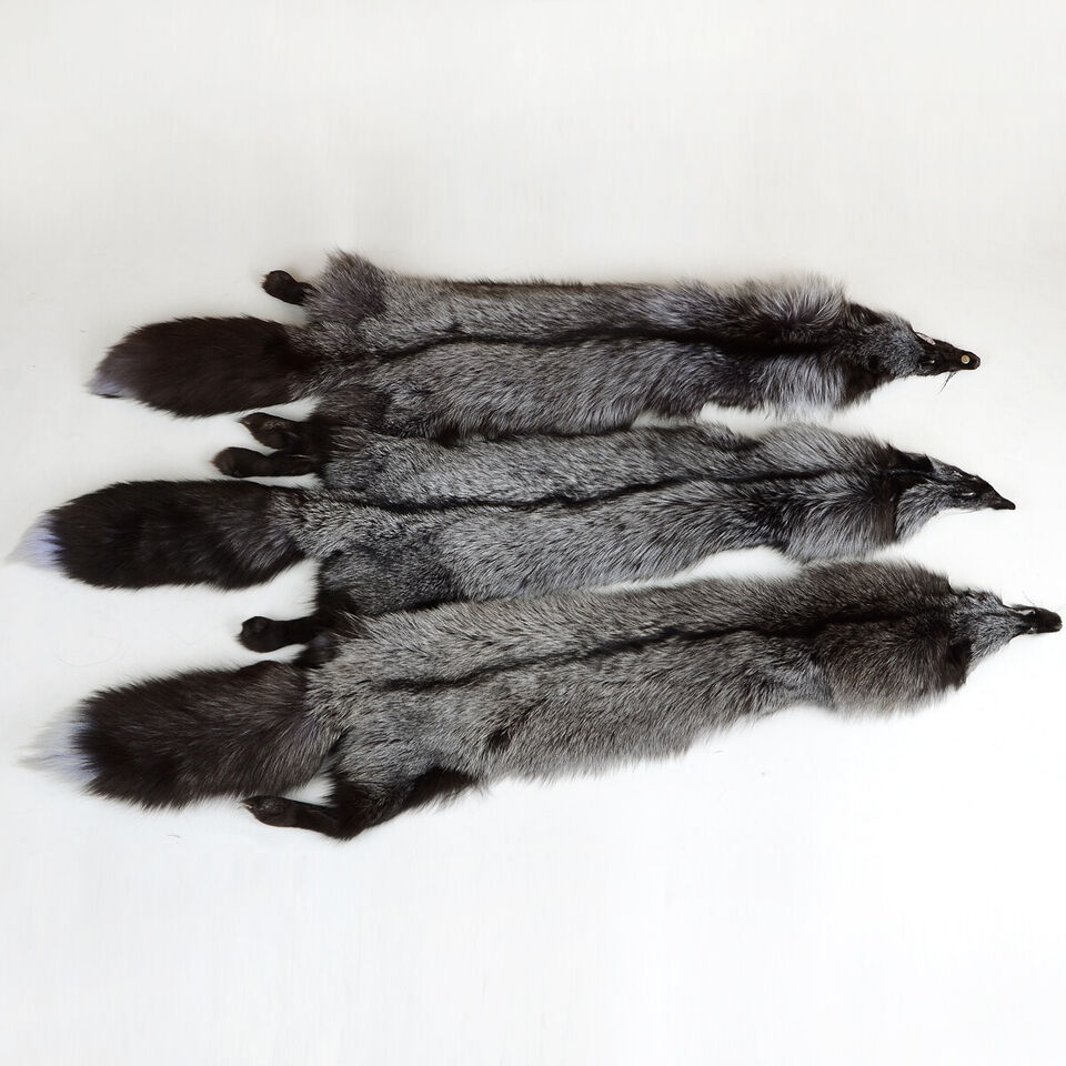 100% Natural Silver Fox Skin Hides Tanned Real Fur Pelt Leather Decor 39-47 inch