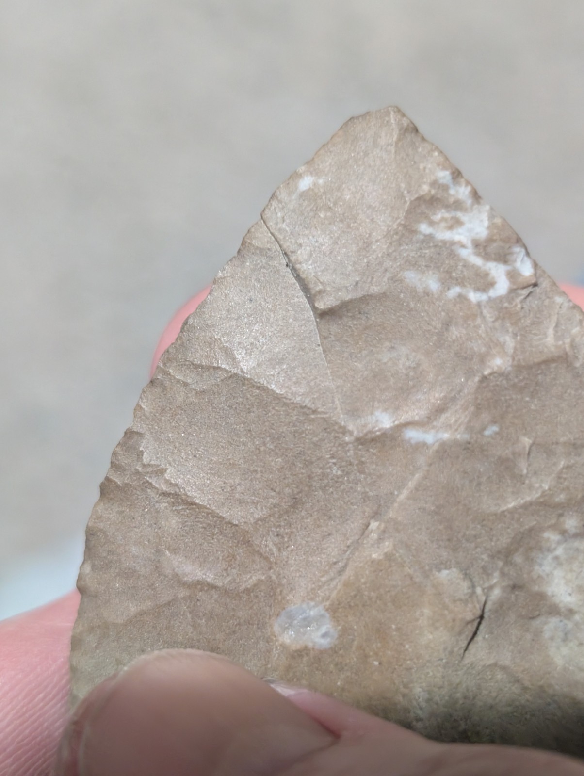 Great Copena Triangular, 3 7/16", N Ctrl AL, Ft Payne Chert, Authentic Arrowhead