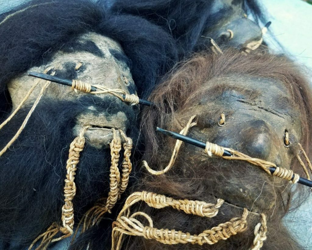 Shrunken Head, Real Leather and Hair, Oddities, Curiosities, Creepy, Lama alpaca