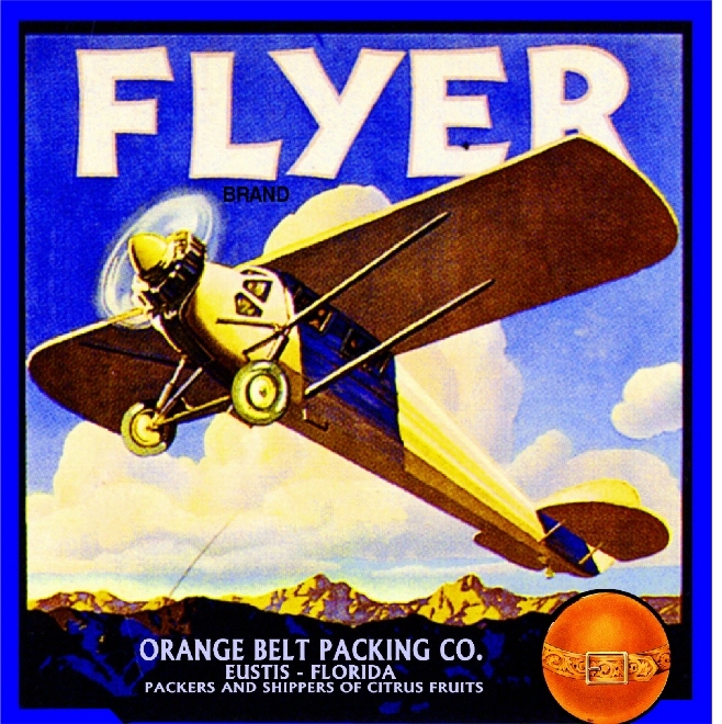 Eustis Florida Flyer Airplane Orange Citrus Fruit Crate Label Art Print